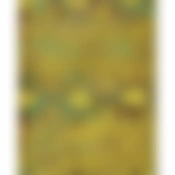 Garden Wall (preview)