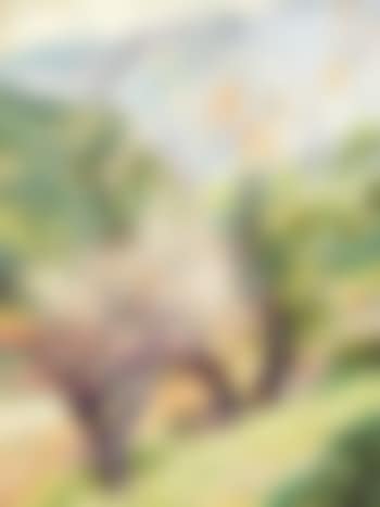 Paysage en Provence (preview)
