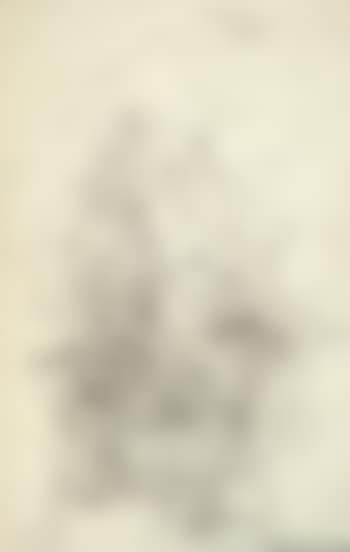 [Untitled] (preview)