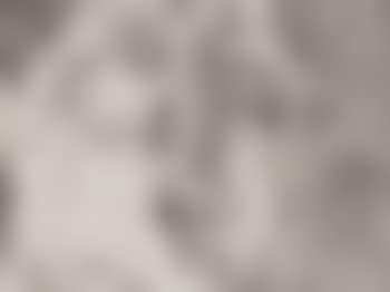 Selbst Dramatisch (preview)