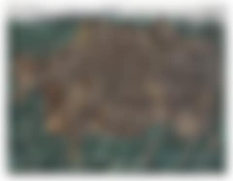 VACHE A L'HERBAGE (preview)
