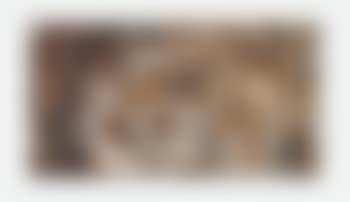 Panneau (preview)