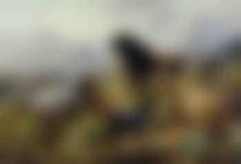 Paesaggio con bufali (preview)
