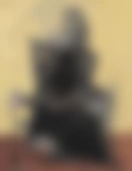 Femme assise (preview)