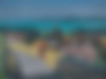 Sommerliche Seeuferlandschaft (preview)