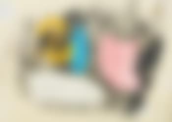 Komposition (preview)