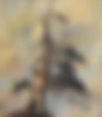 Alte Arve (preview)