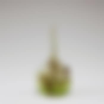 'Adiante' soliflor (preview)