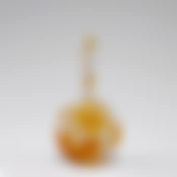 'Capucines' soliflor (preview)