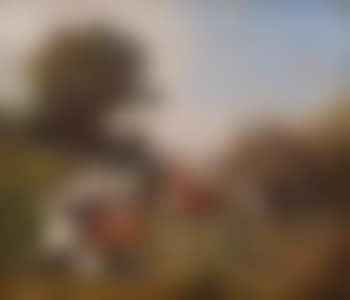 Fantasia devant le Sheikh (preview)