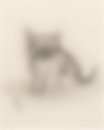 Untitled (preview)
