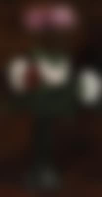 Blumenstrauß in Vase (preview)