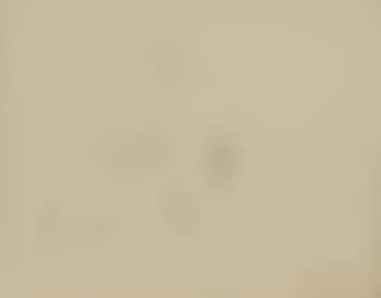 Untitled, 1944 (preview)