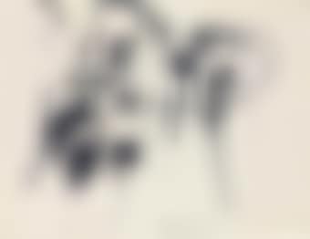 Untitled (preview)