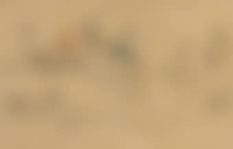 Paysage tahitien avec figure (recto); Etude de figures (verso) (preview)