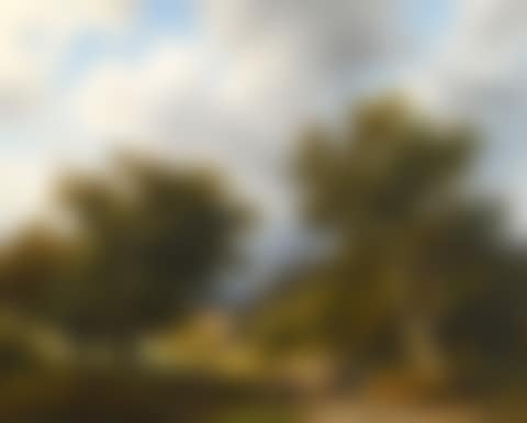 SUMMER LANDSCAPE (preview)