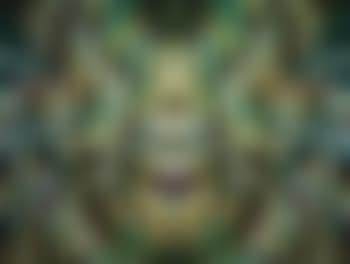 Untitled (Foliage) (preview)