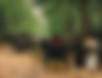Bois De Boulogne (preview)