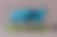 Two cloned blue cows (preview)