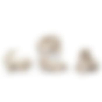A Set of 4 Figures of 'Dragon Puppies' (preview)