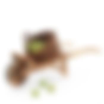 A Basket with 30 Apples and a Wheelbarrow (preview)