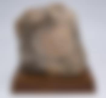 Ren_e (preview)