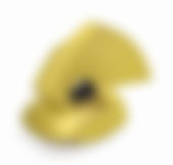 Chapeau coquille (preview)