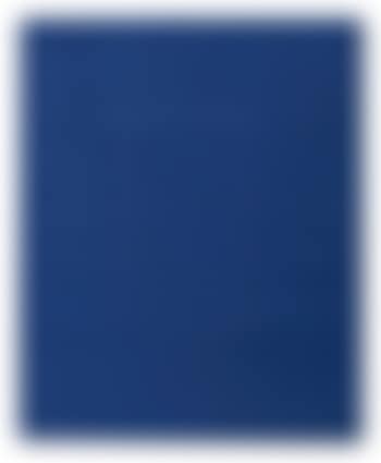 120 ovali blu (preview)