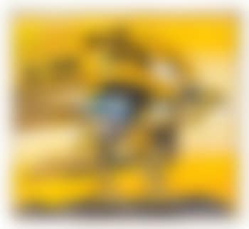 Condor de los Andes (preview)