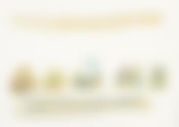 Sequenza (preview)