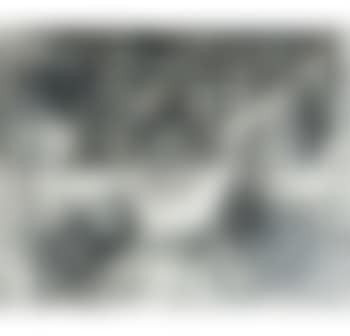 Composition with Lute (preview)