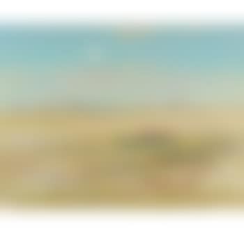 Wimmera Landscape with White Cockatoo (preview)