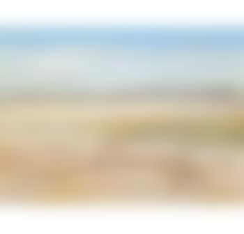 Wimmera Landscape (preview)