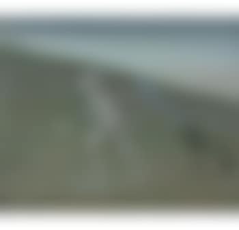 Blind Nebuchadnezzar with Stick and Toad (preview)