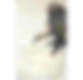 Monkey Looking at Numbers Passing By (preview)
