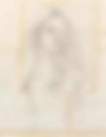 Untitled (Portrait of a Girl) (preview)