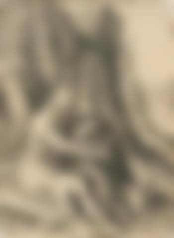 Johannes der Täufer by Lucas van Leyden (preview)