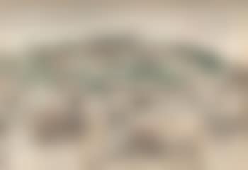 Visage de Liège (preview)