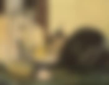 Stilleven (preview)
