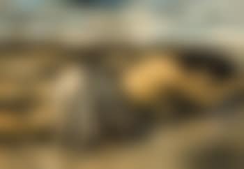 Liggend naakt op het strand (preview)
