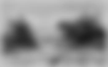 Ausblick auf das Meer (preview)