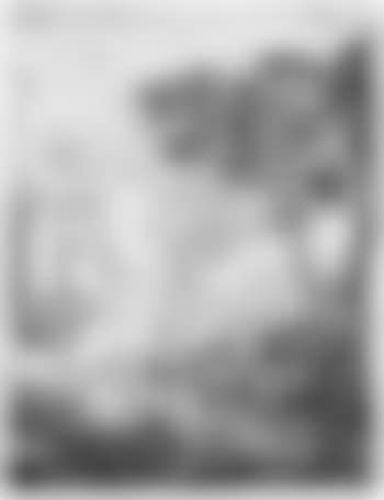 [*] Soplones (preview)