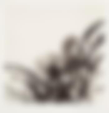 Composition (preview)