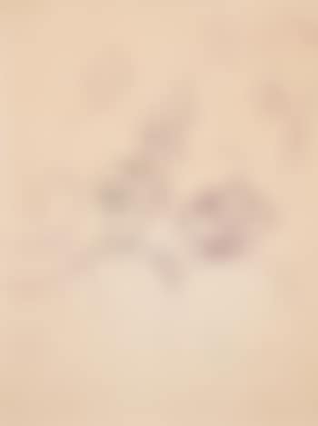 Personajes (preview)