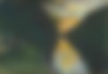 Spaziergänger am Landwehrkanal (preview)