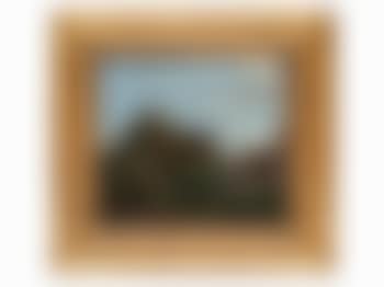 House behind Trees (preview)
