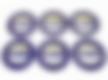 Set of Six Porcelain Plates (preview)
