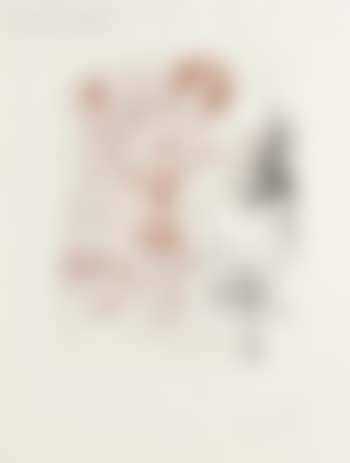 Narcissus (preview)