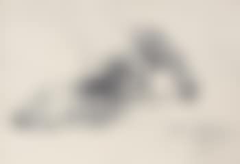 Zwei Schafe (preview)