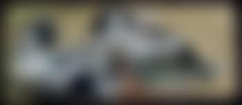 Studio di due cani (preview)
